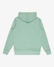 7 Arch Po - Sweatshirt f&uuml;r M&auml;nner Gr&uuml;n EBYFT00147 Billabong