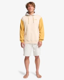 1 Arch Block Po - Kapuzenpulli für Männer Beige EBYFT00155 Billabong