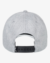 2 Arch - Gorra con Ajuste Posterior a Presión para Hombre Gris EBYHA00128 Billabong