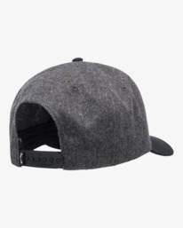 2 Stacked - Snapback Cap for Men Grey EBYHA00139 Billabong