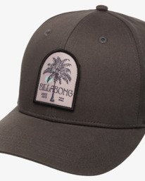 2 Patch - Snapback Cap for Men Grey EBYHA00169 Billabong