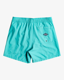 1 All Day Heritage Layback - Boardshort pour Homme Vert EBYJV00105 Billabong