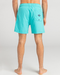 3 All Day Heritage Layback - Boardshort pour Homme Vert EBYJV00105 Billabong
