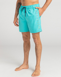 4 All Day Heritage Layback - Boardshort pour Homme Vert EBYJV00105 Billabong