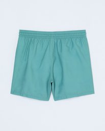 1 All Day 16" Vert EBYJV00134 Billabong