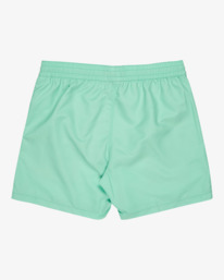 0 All Day 16" - Layback Swim Shorts for Men Green EBYJV00134 Billabong
