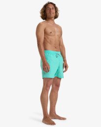 2 All Day 16" - Layback Swim Shorts for Men Green EBYJV00134 Billabong