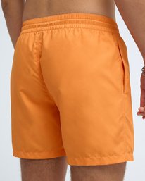 8 All Day 16"  EBYJV00134 Billabong
