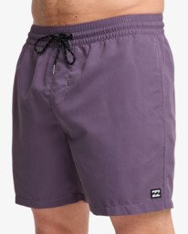 6 All Day 16" - Layback Swim Shorts for Men Purple EBYJV00134 Billabong