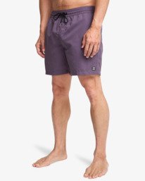 5 All Day 16" - Layback Swim Shorts for Men Purple EBYJV00134 Billabong