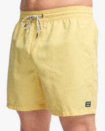 6 All Day 16" - Cal&ccedil;&otilde;es de banho Layback para Homem Amarelo EBYJV00134 Billabong