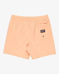 1 Every Other Day - Short de bain pour Homme Orange EBYJV00145 Billabong