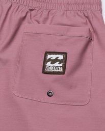 4 Every Other Day 17"- Short de bain Layback pour Homme Violet EBYJV00145 Billabong
