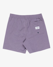 1 Every Other Day - Short de bain pour Homme Violet EBYJV00145 Billabong