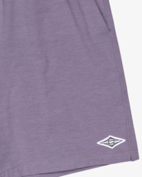 2 Every Other Day 17"- Layback Swim Shorts for Men Purple EBYJV00145 Billabong