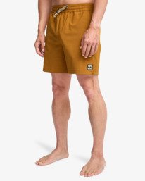 5 Every Other Day 17"- Layback Schwimmshorts f&uuml;r M&auml;nner Braun EBYJV00145 Billabong