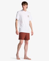3 Every Other Day 17"- Layback Schwimmshorts f&uuml;r M&auml;nner Rot EBYJV00145 Billabong