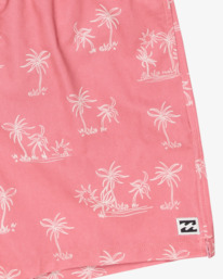 2 Sundays 17"- Layback Zwembroek voor Heren Pink EBYJV00146 Billabong
