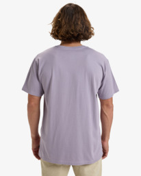 2 Arch - T-Shirt voor Heren Purple EBYKT00100 Billabong