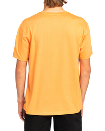 1 Arch - T-Shirt for Men Red EBYKT00101 Billabong