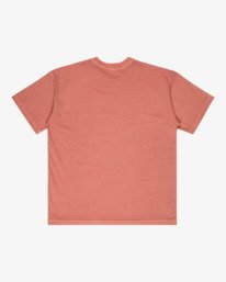 6 Og Wave Wave Washed - T-shirt de manga curta para homem Pink EBYKT00113 Billabong