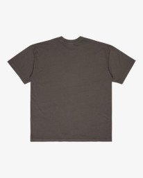 6 Og Wave Wave Washed - T-Shirt &agrave; manches courtes pour Homme Gris EBYKT00113 Billabong