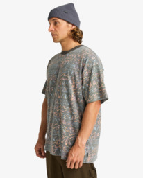 3 Paint Rack Wave Washed - Short Sleeve T-Shirt for Men Grey EBYKT00115 Billabong