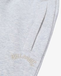 2 Arch - Joggers for Men  EBYNP00112 Billabong
