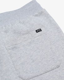 4 Arch - Joggers for Men  EBYNP00112 Billabong