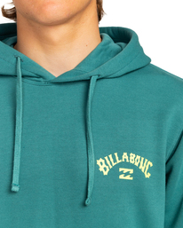 3 Arch Wave - Hoodie for Men Green EBYSF00105 Billabong