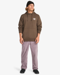 1 Foundation Po - Hoodie for Men Brown EBYSF00175 Billabong