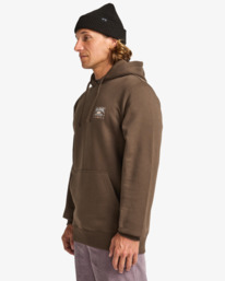3 Foundation Po - Hoodie for Men Brown EBYSF00175 Billabong