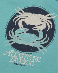 9 Compass Green EBYSF00192 Billabong