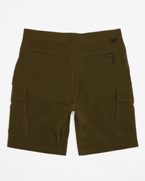 4 Surftrek Transport 19" - Walkshorts for Men Green EBYTK03003 Billabong