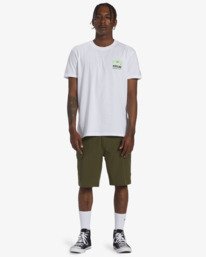 1 Surftrek Transport 19" - Walkshorts for Men Green EBYTK03003 Billabong