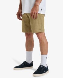 1 Surftrek Transport 19" - Walkshorts for Men Brown EBYTK03004 Billabong