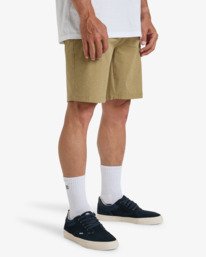 2 Surftrek Transport 19" - Walkshorts for Men Brown EBYTK03004 Billabong