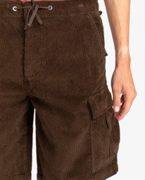 5 Larry Cord 20" Brown EBYWS00108 Billabong