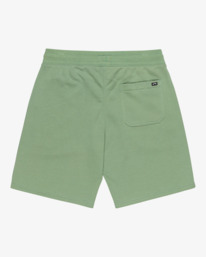 5 Arch 19" - Elastic Waist Walkshorts for Men Green EBYWS00112 Billabong