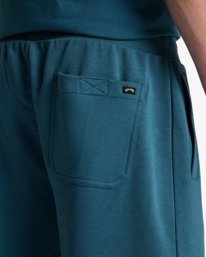 5 Arch 19" - Walkshort met Elastische taille voor Heren Blue EBYWS00112 Billabong