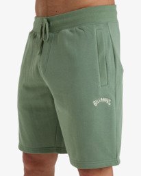 5 Arch 19" Green EBYWS00112 Billabong