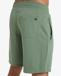 6 Arch 19" Green EBYWS00112 Billabong