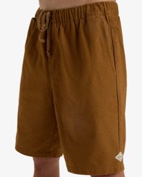 4 Larry 20" Brown EBYWS00114 Billabong