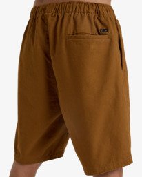 5 Larry 20" Brown EBYWS00114 Billabong