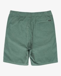 8 Larry 20" - Walkshort met Elastische taille voor Heren  EBYWS00128 Billabong