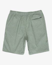 1 Larry 20" Green EBYWS00128 Billabong
