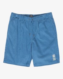 0 Larry 20" Vert EBYWS00128 Billabong