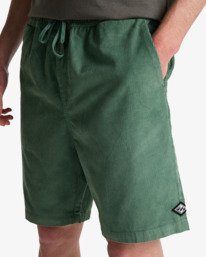 4 Larry 20" - Walkshort met Elastische taille voor Heren  EBYWS00128 Billabong