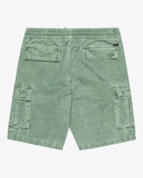 1 Larry 20" - Shorts mit elastischem Bund für Männer Grün EBYWS00129 Billabong