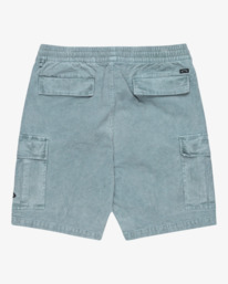 1 Larry 20" - Elastic Waist Walkshorts for Men Blue EBYWS00129 Billabong